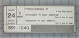 GER: Pistolenpatrone 41 (9mm Pist Pat 41), 24 Schuss Schachtel, Jahrgang 8.12.1982